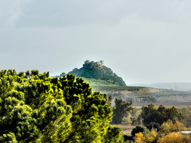 Paisaje mediterráneo con el Castillo de Almodóvar al fondo, sobre una colina