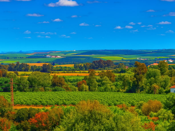 Posadas | Paisajes Paisaje típico de la zona, en tonos verdes y marrones
